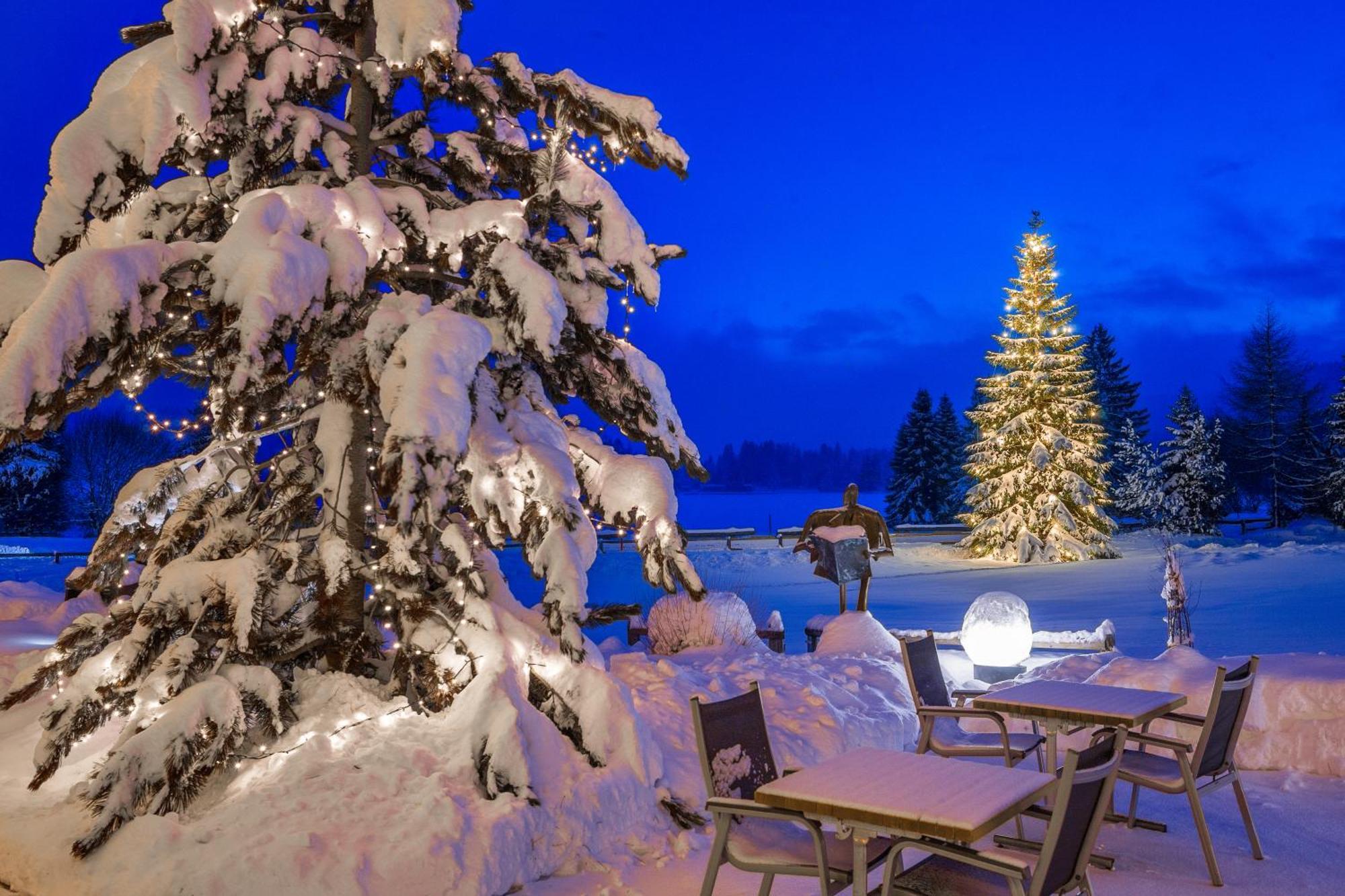 Hotel Seehof 3*